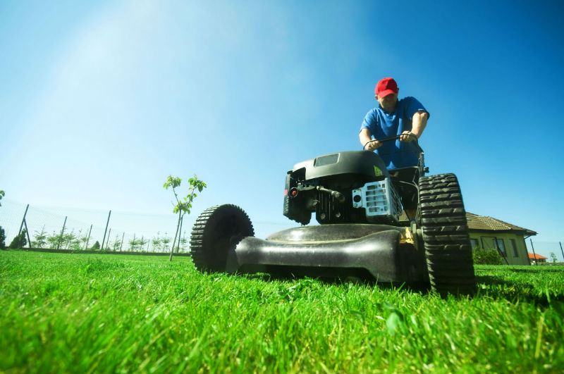 Secrets to Lush Green Grass Using Smart Lawn Maintenance in Woodward OK Techniques