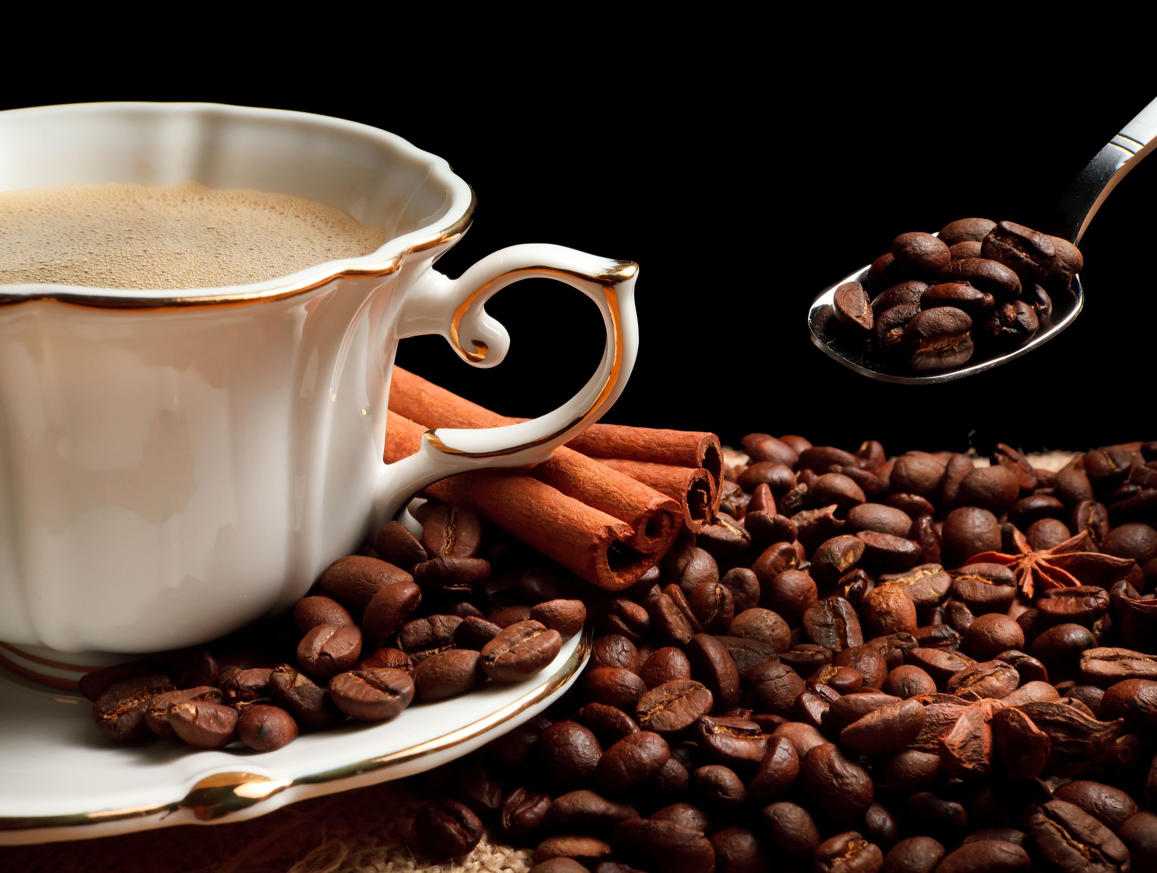 Buy Gourmet Coffee That Supports the Causes Close to Your Heart