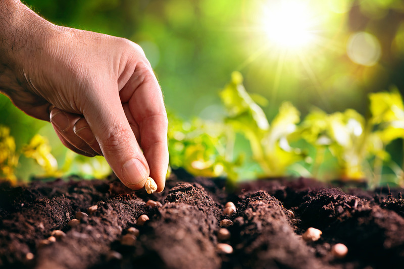 Purchase Premium Topsoil in North Haven, CT From a Reputable Company