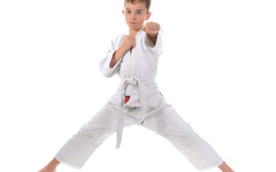 Discipline Meets Fun: Unleashing the True Potential of Kids Martial Arts in Wellington, CO