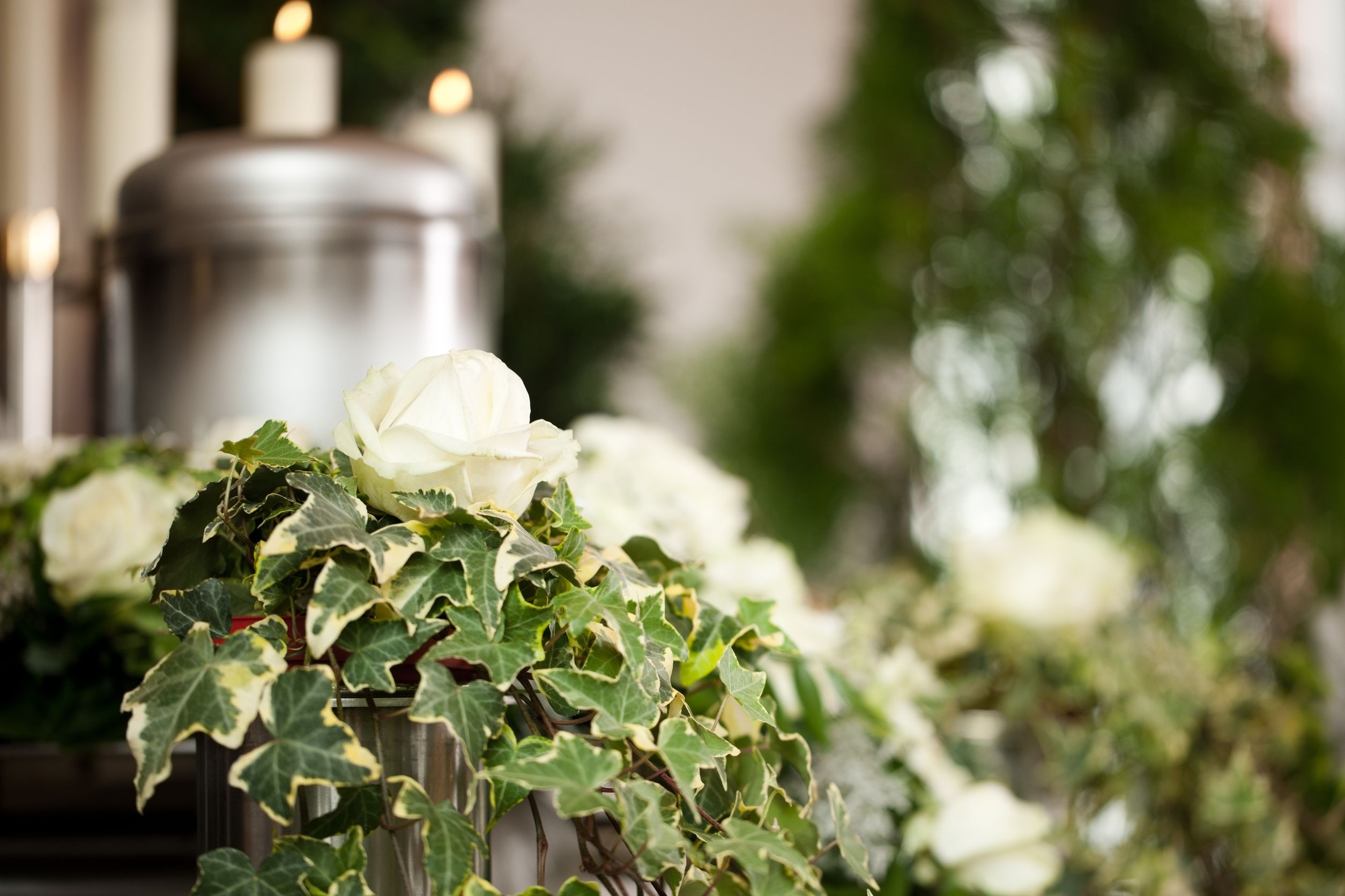 Preserving Legacies with Dignity: Funeral in Hayward, CA - Biz Exclusive