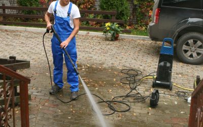 Save Time: Dog Poop Cleanup Service in Aurora, CO, Explained