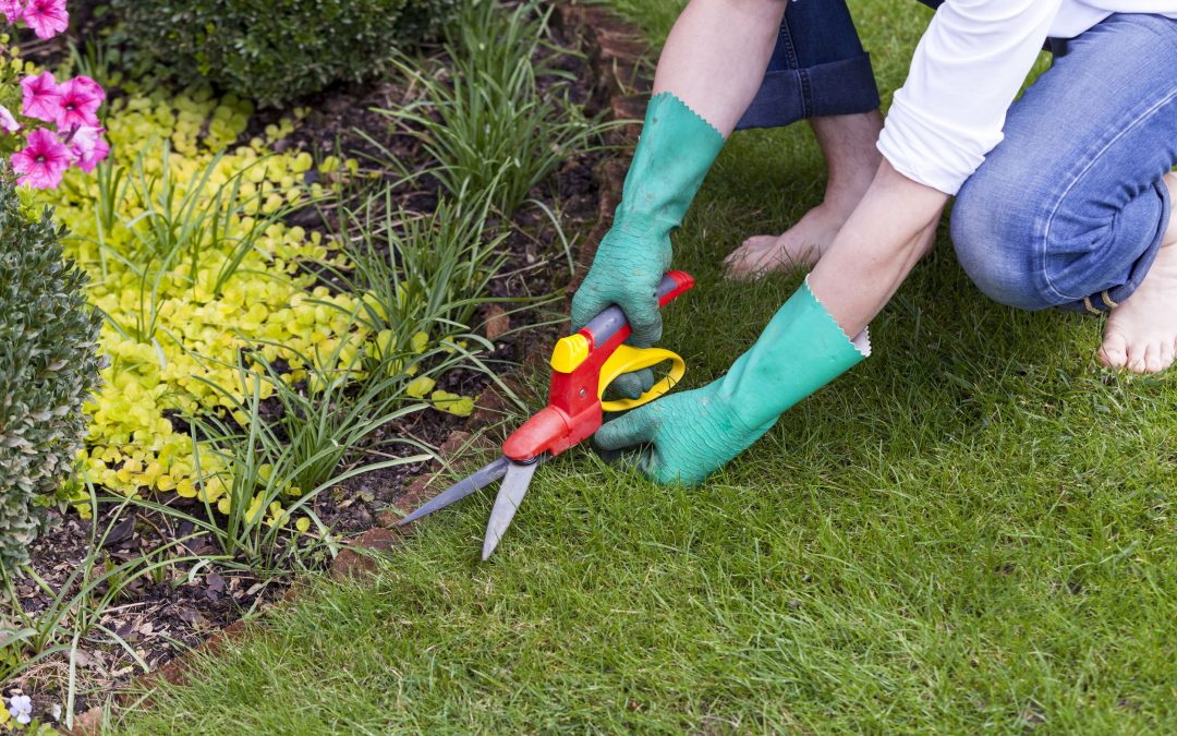 Effective Weed Control Solutions for a Lush Lawn in Tuttle, OK