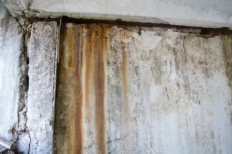 Protect Your Home From Health Risks With Effective Mould Abatement Calgary Solutions