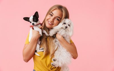 Choosing a Veterinarian Madison AL for Preventive Care and Emergency Services