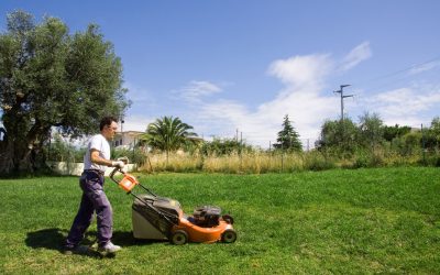 Lawn Care Company in Alpharetta, GA: Your Partner in a Lush, Beautiful Lawn