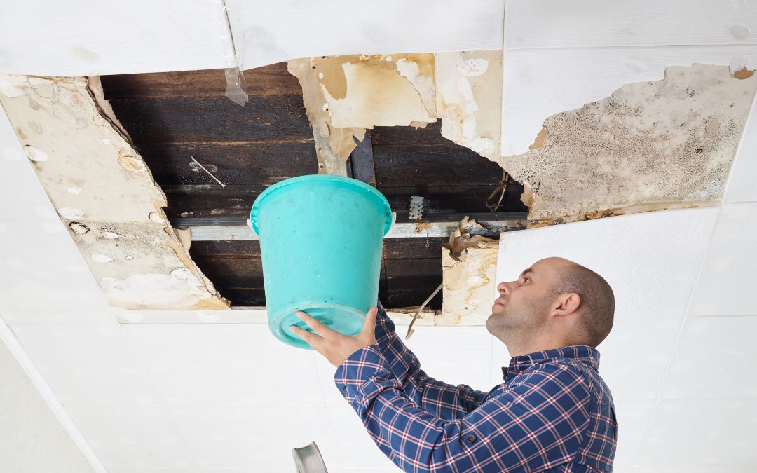 Fast Relief for Homeowners After Emergency Water Damage Cleanup in Hinsdale, IL