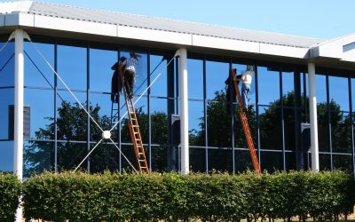 Enhance Office Productivity with Commercial Window Film in Chicago, IL for Better Work Environments