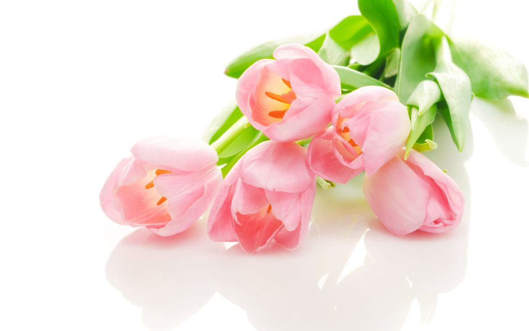 Unique Ways to Enhance Your Event Ambiance with Flowers Berkeley Has in Bloom