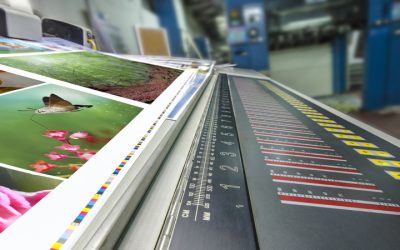 Small Businesses Boost Brand Visibility Through Holographic Stickers Printing Solutions