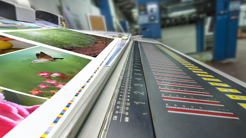 Small Businesses Boost Brand Visibility Through Holographic Stickers Printing Solutions